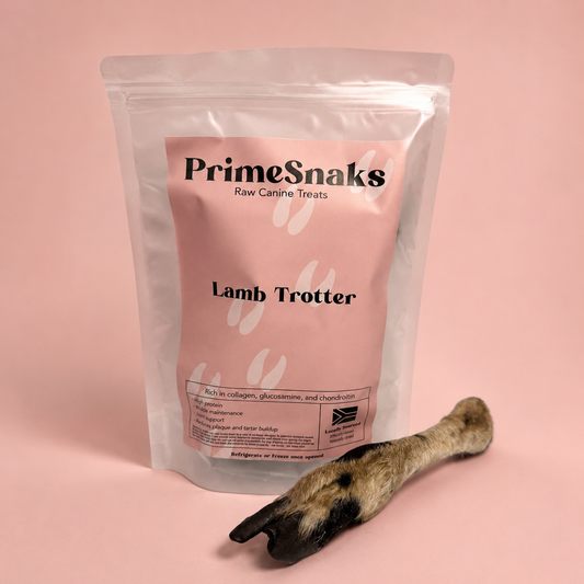 Lamb Trotter